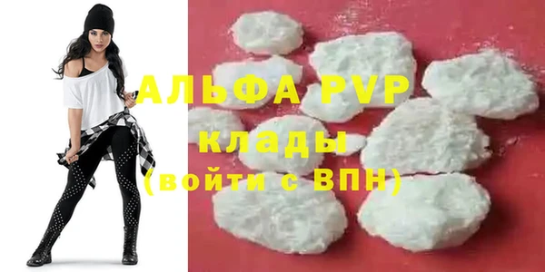 винт Алексин