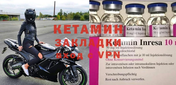 стаф Алзамай