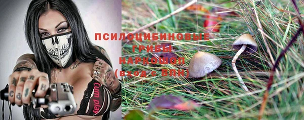 стафф Алексеевка