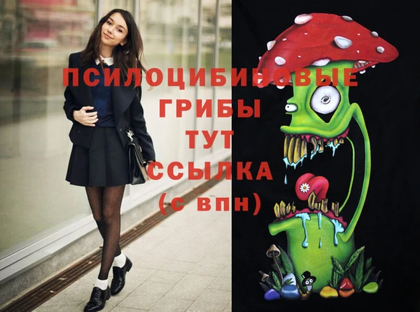 винт Алексин